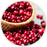 Cranberry Extrakt